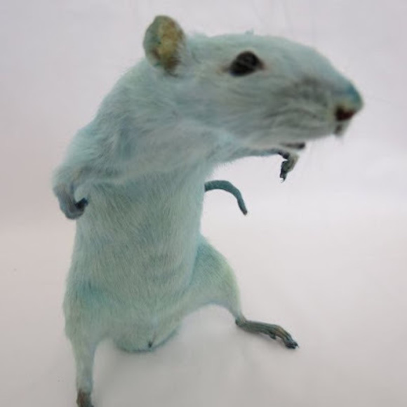 alyviabisson084